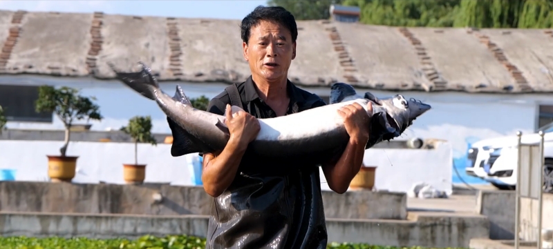 臨朐縣養殖成品魚等技術已經非常成熟。臨朐縣委宣傳部供圖